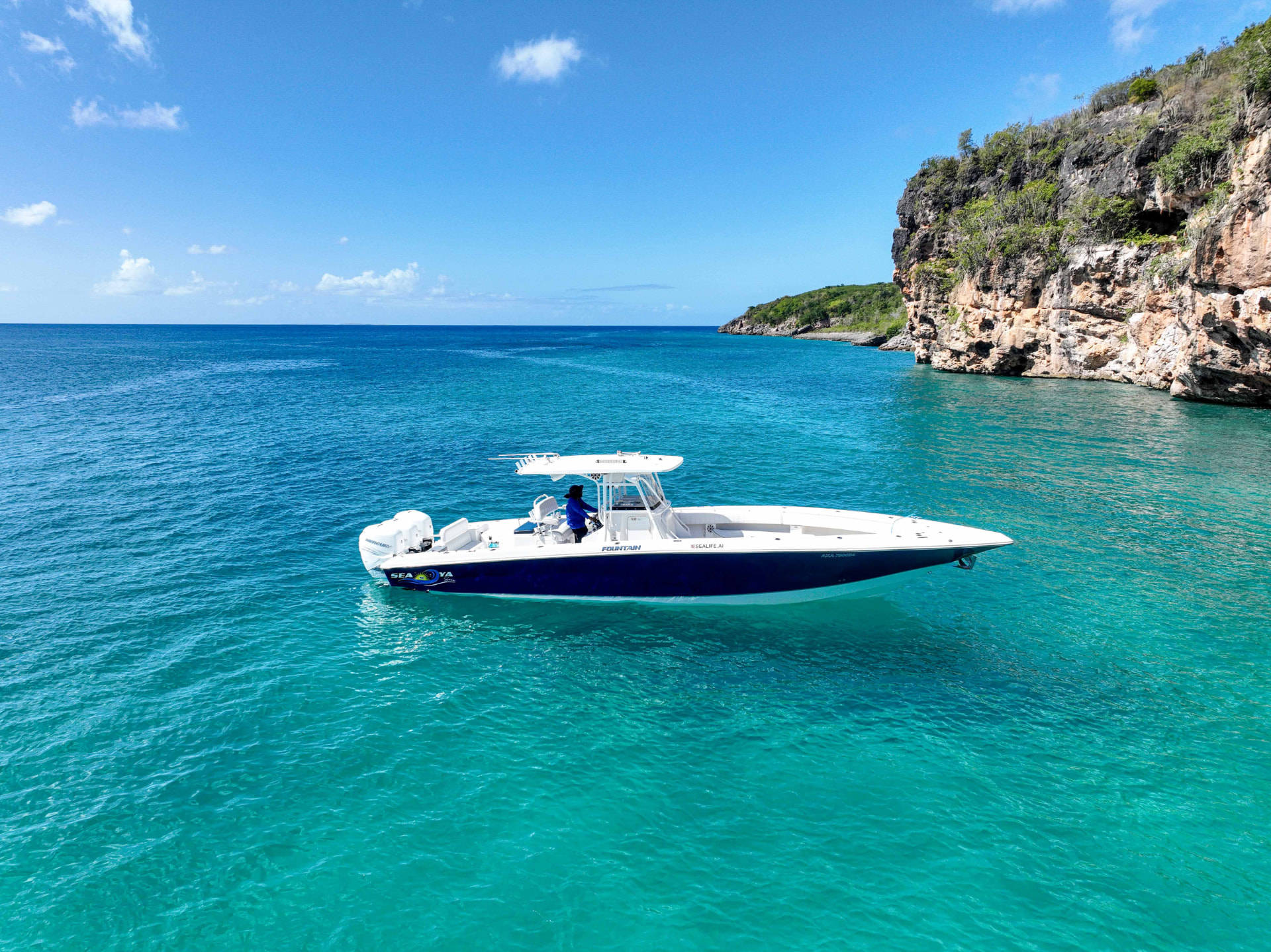 Sea Life Adventures on the water